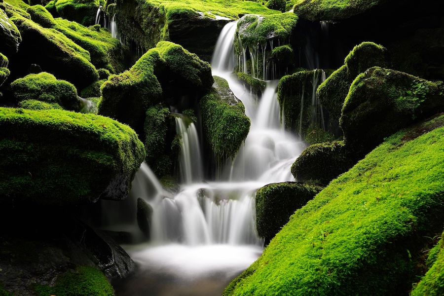 Water path least resistance_900 Water flowing along the path of least resistance through mossy rocks, a metaphor for solo HR professional strengths