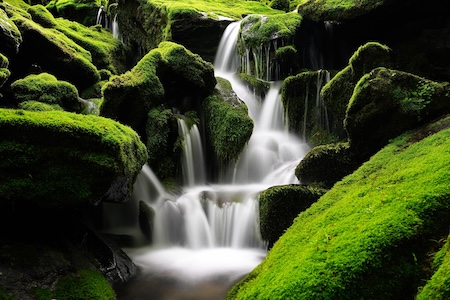 Water flowing along the path of least resistance through mossy rocks, a metaphor for solo HR professional strengths